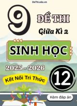Tuyển tập 9 Đề thi giữa kì 2 năm học 2025-2026 môn Sinh học 12 KNTT (Kèm đáp án)